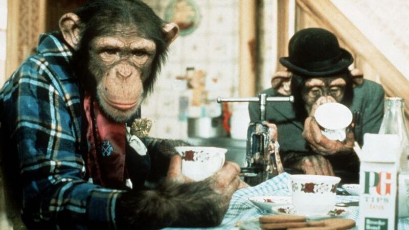 The PG Tips chimps may have shared a pot of tea, but on the whole, it is humans who are born to be kind, behaviour which is “spectacularly unusual when compared to other animals”, according to the journal Frontiers in Psychology