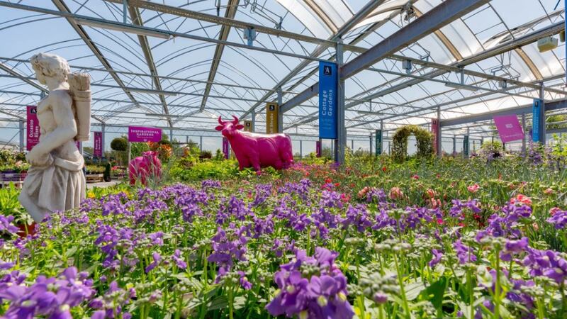For her weekly treat and “bit of heaven”, as Bernie O’Brien puts it she visits Arboretum in Leighlinbridge, Co Carlow