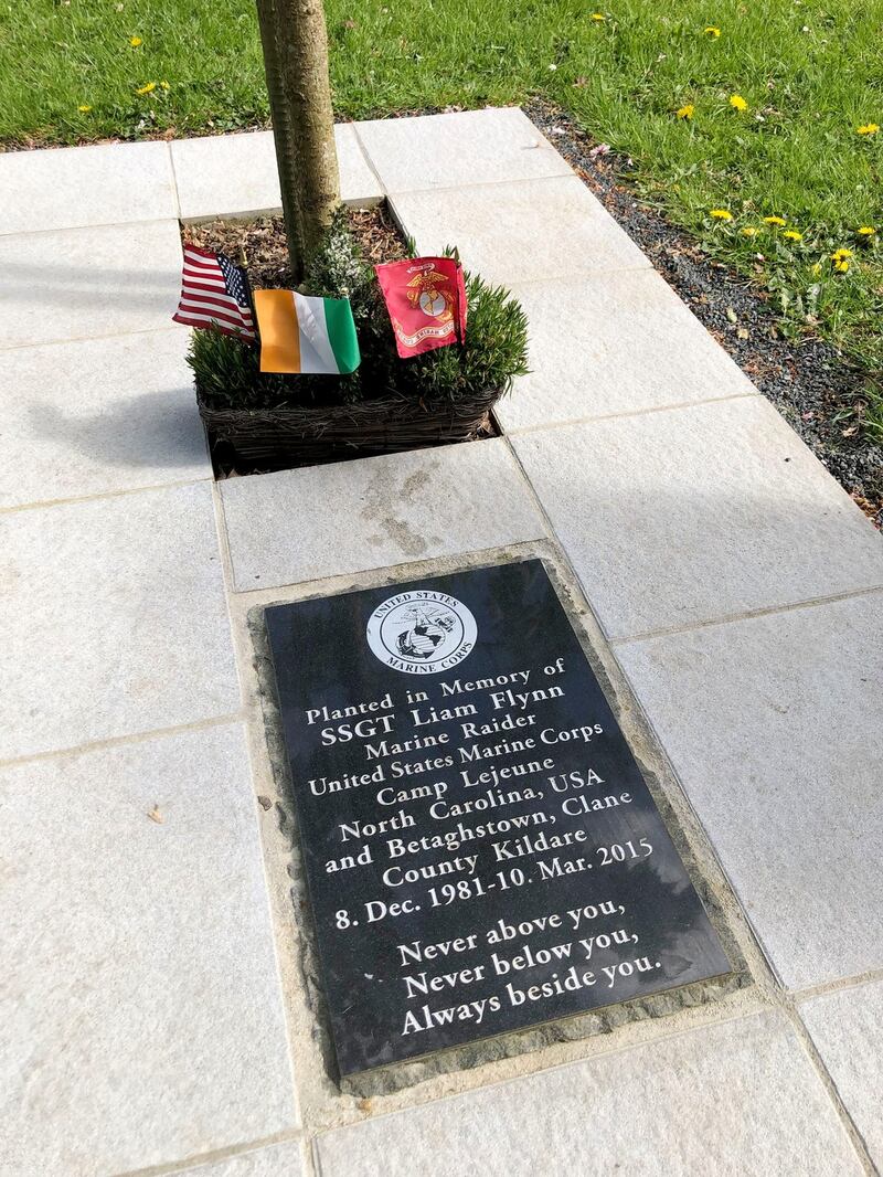 The memorial has drawn complaints from the public. Photograph: Alan Betson