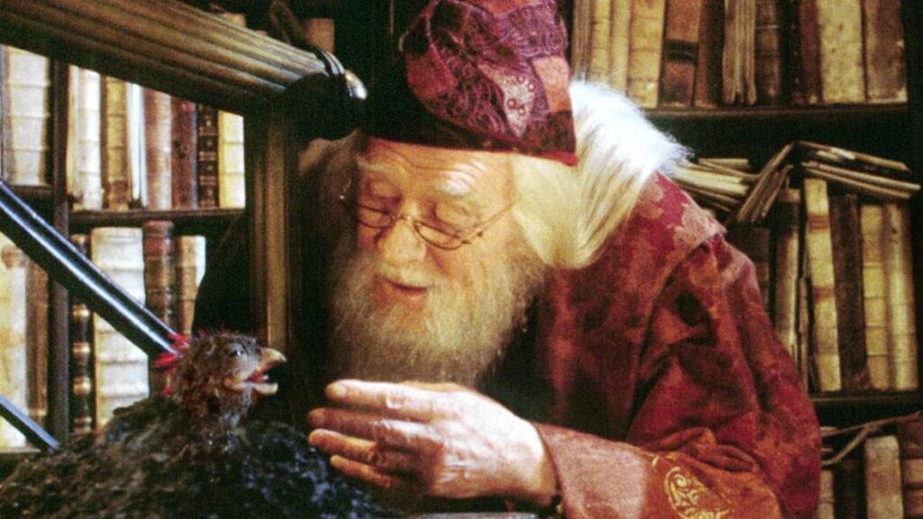 10: Dumbledore is an early modern English word for which creature?