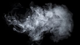 Tobacco firm frustrated over delay in menthol ban investigation