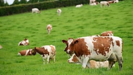 Ireland’s BSE risk status changed following Louth case