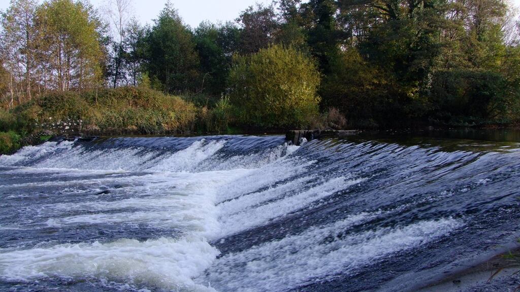 Annacotty Weir on the lower Mulkear river in Co Limerick