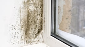 How do I tackle damp patches and mould?