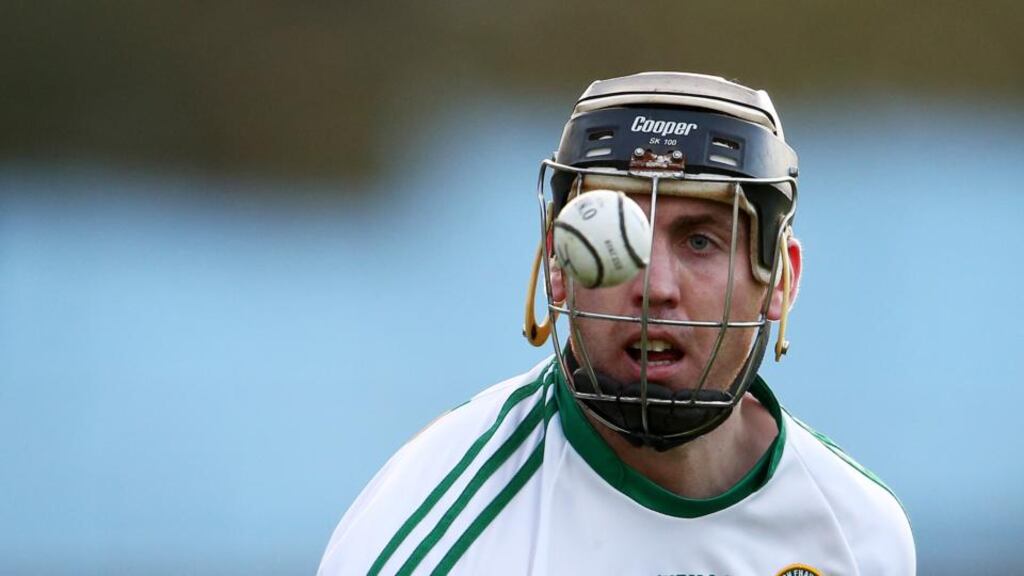 Shane Dooley inspired Offaly’s win over Limerick. Photograph: Inpho