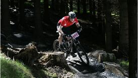 Coillte halts plans for tree-felling in the Dublin mountains