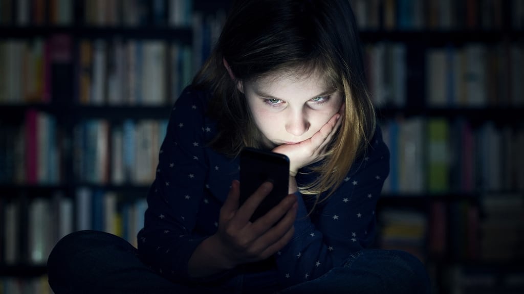 Some 91 per cent of survey respondents said they believe the Government should set rules to protect the public from online harm. Photograph: iStock