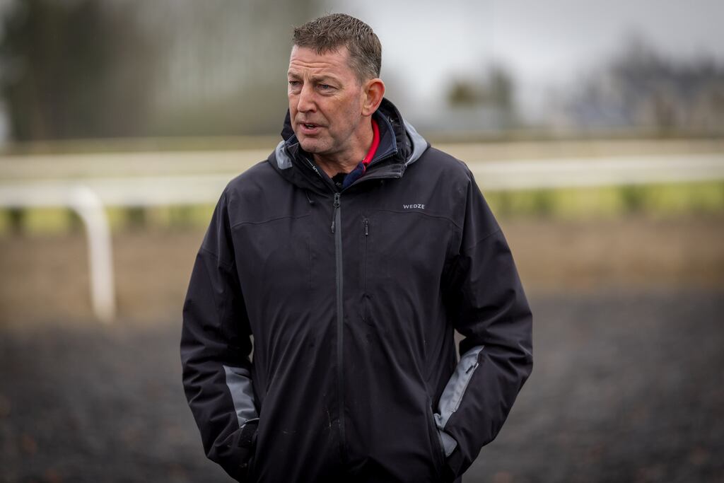 Trainer Gavin Cromwell. Photograph: Morgan Treacy/Inpho