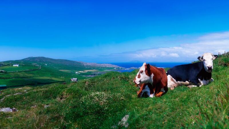 Speaking in Brussels yesterday evening, Minister for Agriculture Simon Coveney said the agreement represents a “hugely significant development in the history of the Cap”.