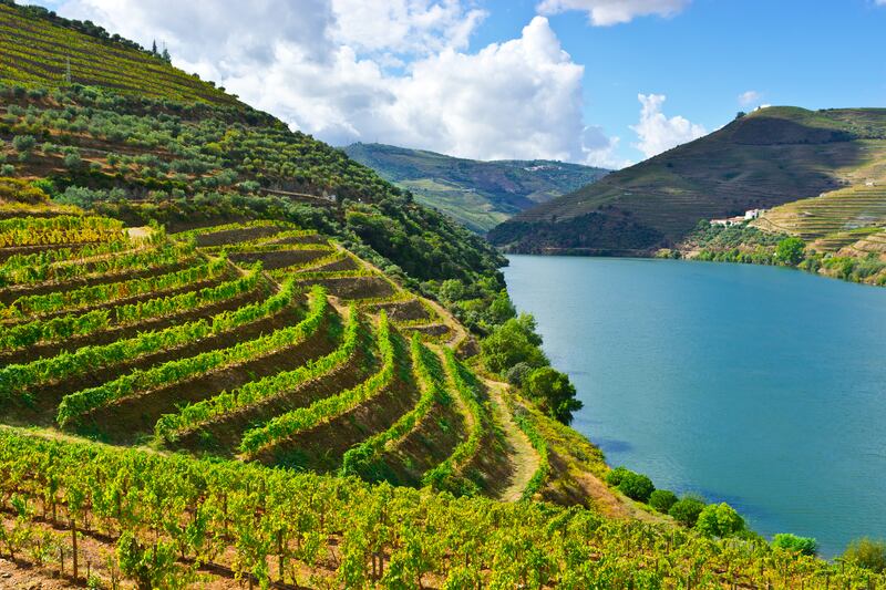 Explore the Douro Valley on a river cruise