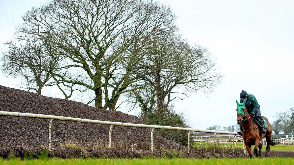 Cash Back upstaged stablemate Classic Getaway to win the Munster Hurdle at Clonmel. Photograph: Tommy Dickson/Inpho