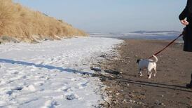 Swims, runs and walks - Irish Times journalists get active on Christmas Day