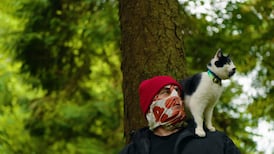 TV guide: the best new shows to watch, beginning tonight