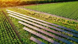 BNRG and Neoen secure funding for three solar farms in Leinster