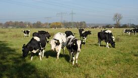 Irish Times view on progress in meeting UN’s Sustainable Development Goals