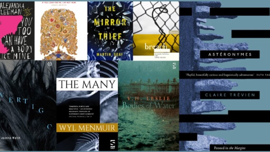 Talent spotting: will one of these indie authors be the next Eimear McBride, Donal Ryan, Colin Barrett, Sara Baume, Mary Costello or Danielle McLaughlin?