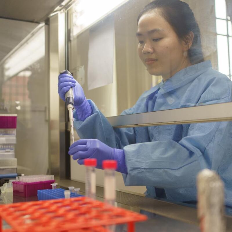 Lay Sreyngim, a lab technician, with samples at the National Centre for Parasitology, Entomology and Malaria. Photograph: Thomas Cristofoletti/New York Times