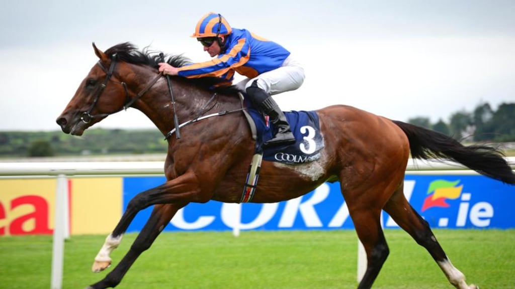 Churchill is bidding to become the fourth Ballydoyle colt in all to complete the Newmarket-Curragh Guineas double. Photograph: PA Wire.