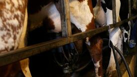 Ulster farmers welcome move by Asda to pay more  for milk