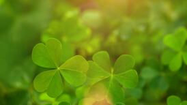 Thinking Anew – St Patrick’s demanding mission