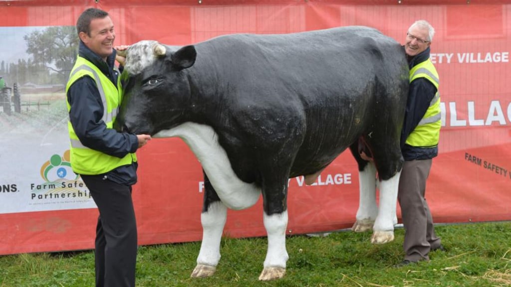 Heavy lifting: Mark Ryan and John Kennedy of the HSA stand at the National Ploughing Championships. Photograph: Alan Betson