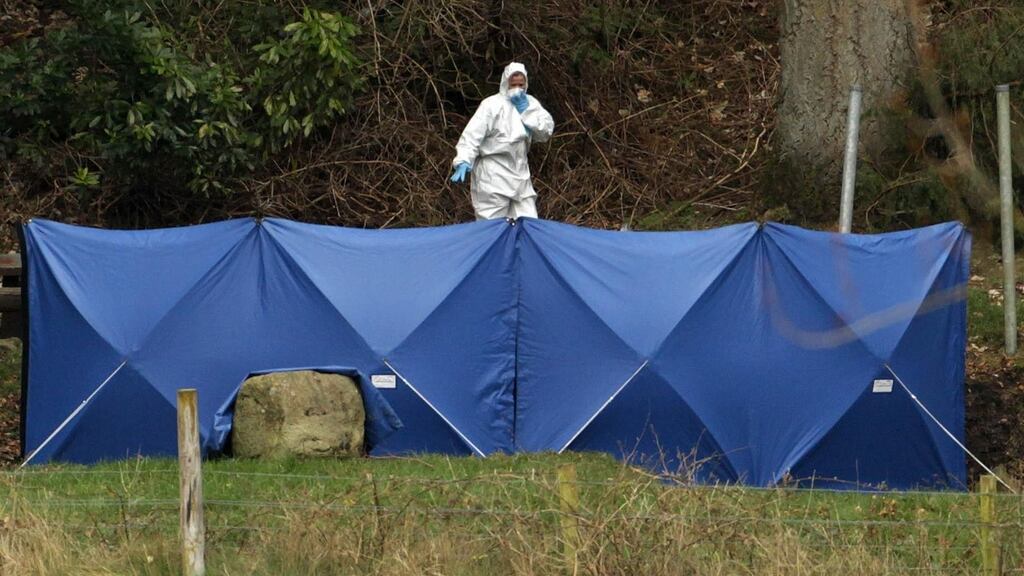 A file image of the scene where two bodies were found in a burnt out car at Ravensdale Park near Dundalk on March 7th, 2012. Photograph: Niall Carson/PA Wire.