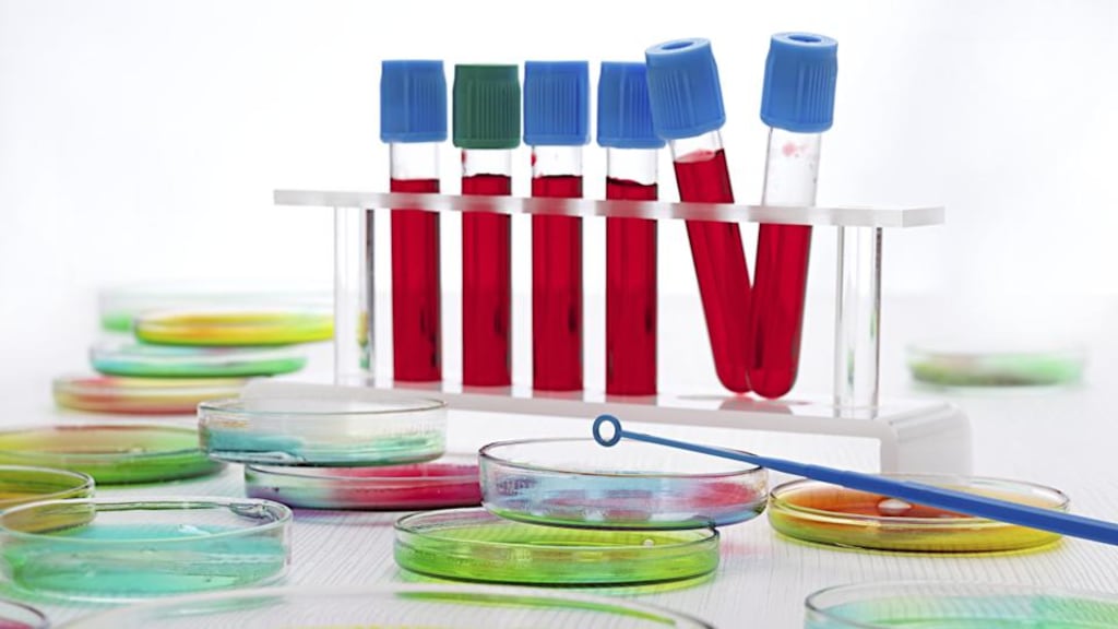 About 70-80 per cent of people with hepatitis C develop chronic liver disease, while 20-30 per cent develop cirrhosis of the liver, which tends to appear after two or three decades. Photograph: Getty Images