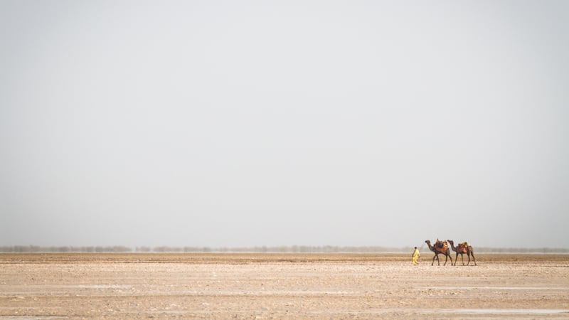 The Great Rann of Kutch is a seasonal salt marsh located in Kutch district of Gujarat, India