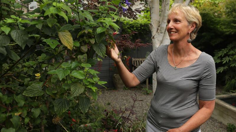 Valerie Duffy  her city garden in Rathmines. Photograph:  Damien Eagers