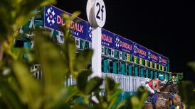 Sale of Dundalk racetrack could add to uncertainty for racecourses around media rights deal
