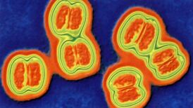 Charity calls for meningitis vaccine after baby’s  death