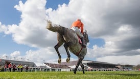 Cheltenham-winning horse among assets targeted by CAB