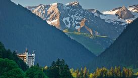 65% rise in people bringing the dog (but not the horse) to France