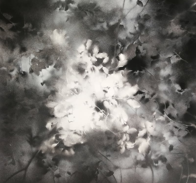 Emanate, by Johanna Connor. Photograph: Uillinn