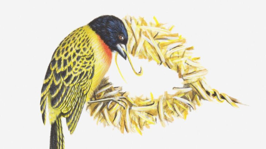 ‘My children’s bedrooms are empty, but only for now.’ Illustration: Thinkstock