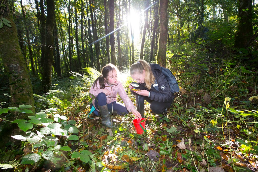 Pupils from St Joseph's School Kilmactranny take part in the The Wild Kind Forest School in Lough Key Forest Park, Co Roscommon. Photograph: Brian Farrell