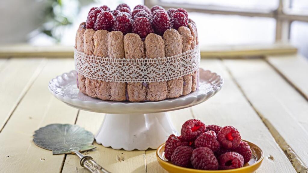 Raspberry rose Charlotte