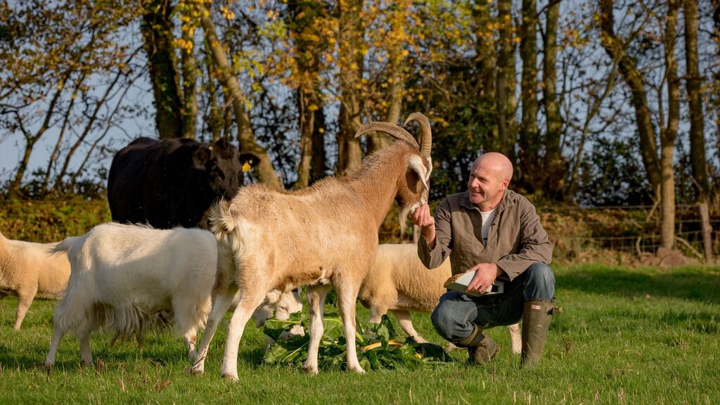 Francis Nesbitt with his goats at Croan House, Co Kilkenny.