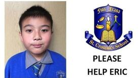 Co Wicklow schoolboy granted leave to remain in Ireland, principal says