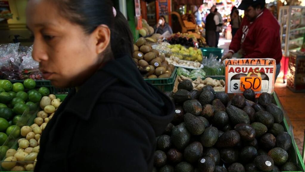 Mexico’s avocado producers have seen their profits soar due to Nafta. Photograph: Justin Sullivan/Getty Images