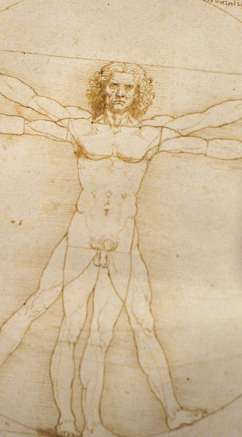 Leonardo: Vitruvian Man at the Louvre. Photograph: Gabriel Bouys/AFP/Getty