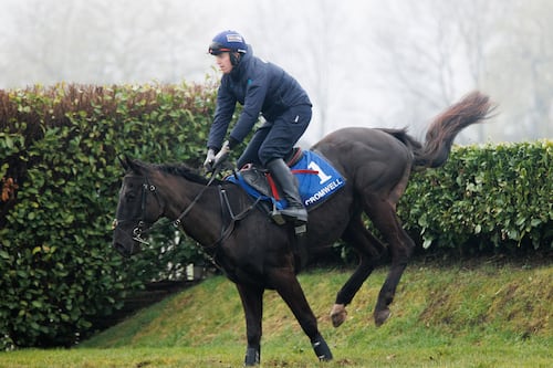 History made as Stumptown becomes first Irish-trained winner of storied Czech race