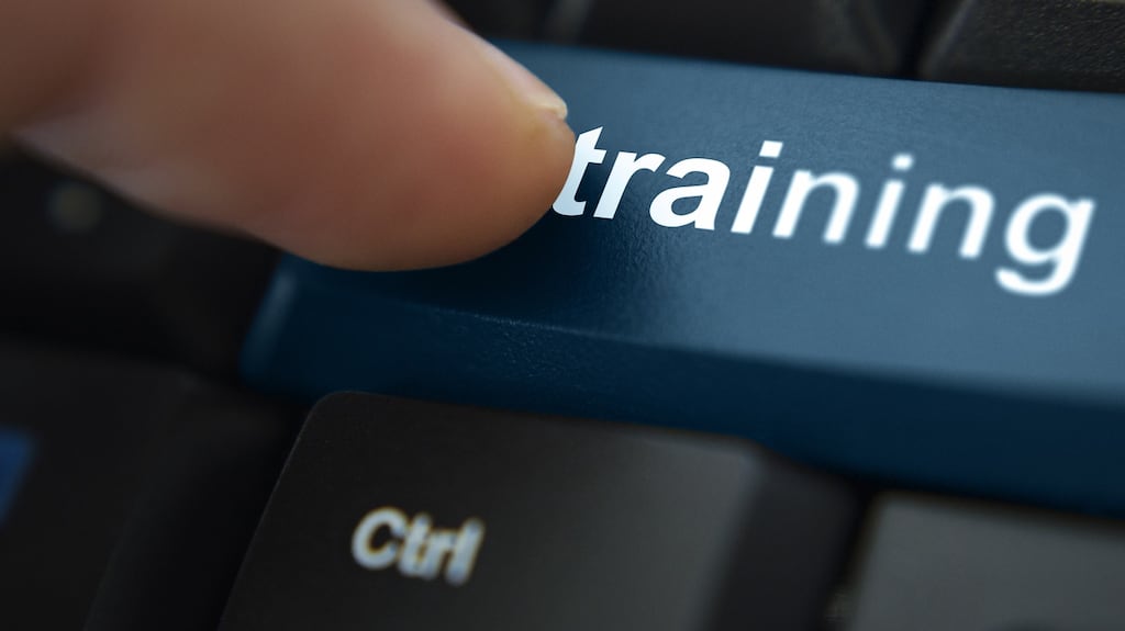 ServiceNow began operating the programme in 2019, and had a waiting list of 200 people for the pilot phase in Ireland. Photograph: iStock