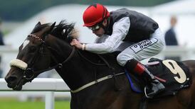 Princess Highway primed to start her busy upcoming campaign in style at Naas