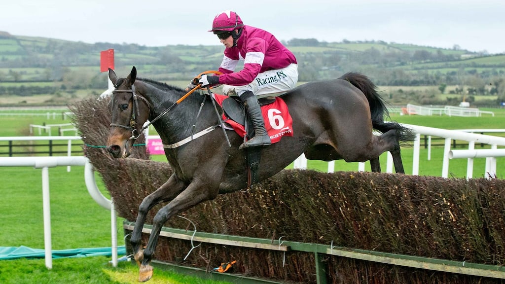 Bryan Cooper on Wrath of Titans at Punchestown. Photograph: Morgan Treacy/Inpho