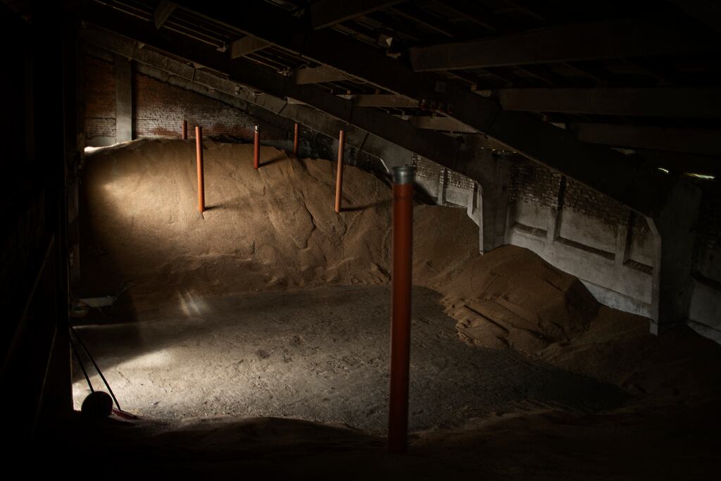 Grain stored at a farm on the outskirts of Lviv, Ukraine. Mountains of wheat stuck in Ukraine are putting a strain on global food supplies. Photograph: Diego Ibarra Sanchez/The New York Times