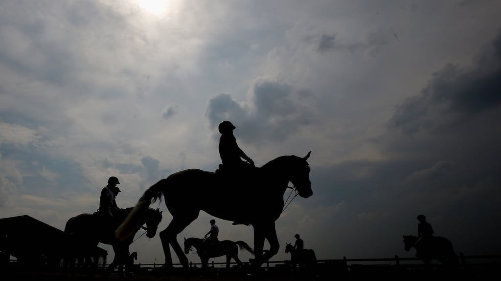 Among other things, WSI maintains that HSI continues to prevent it from affiliating to the organisation, despite repeated requests dating from 2013. Photograph: Dean Mouhtaropoulos/Getty Images