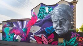 Council takes legal action over street mural of David Attenborough