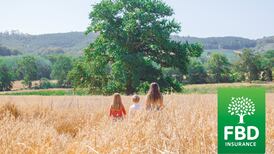 FBD launches €2.5m rebrand to win new business