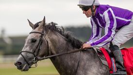 Capri heads Aidan O’Brien’s St Leger options